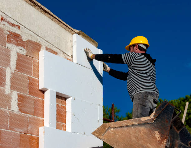 Best Insulation Maintenance and Repair in Seth Ward, TX