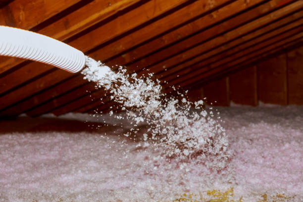 Best Insulation for Specific Applications in Seth Ward, TX