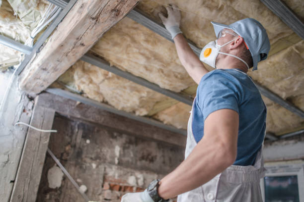 Best Spray Foam Insulation in Seth Ward, TX
