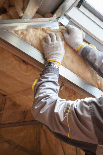 Best Fiberglass Insulation in Seth Ward, TX