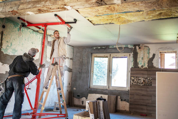 Best Spray Foam Insulation in Seth Ward, TX