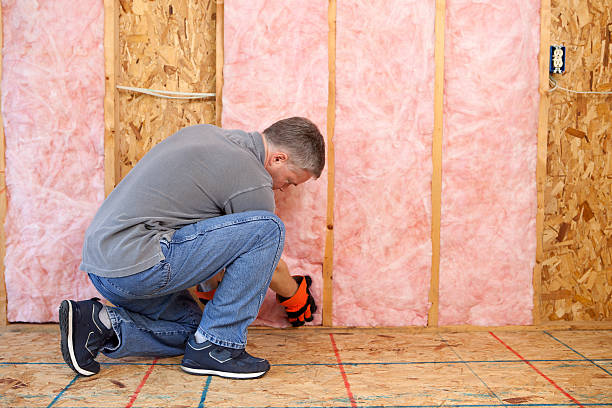 Trusted Seth Ward, TX Insulation Contractor Experts