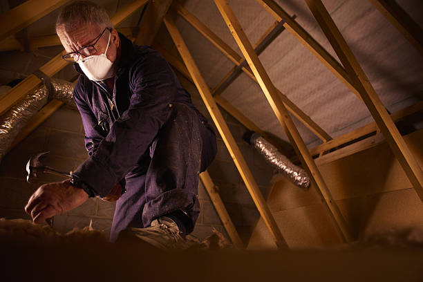 Best Eco-Friendly Insulation in Seth Ward, TX