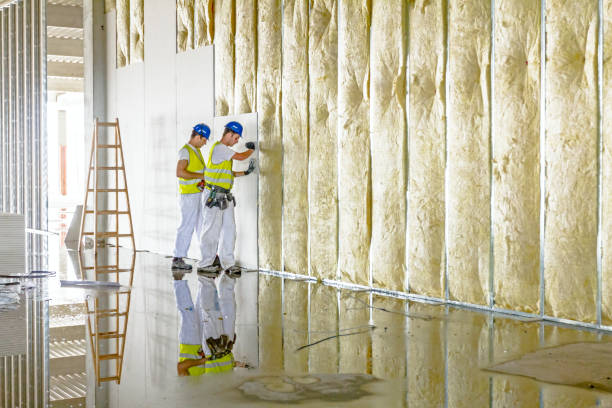 Types of Insulation We Offer in Seth Ward, TX